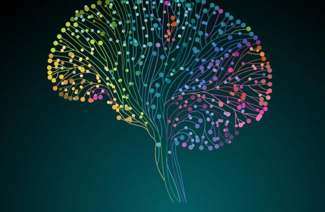 Проучване идентифицира генетични мутации, които допринасят за епилепсията при възрастни