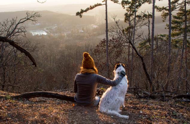 Най-добрият ви приятел е винаги насреща