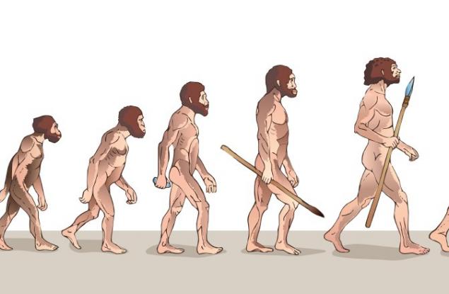 Еволюцията на човека - повече от сложно към просто, отколкото обратното