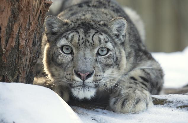 15-метров скок