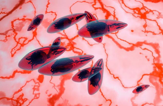 Ново лекарство дава надежда в битката с токсоплазмозата