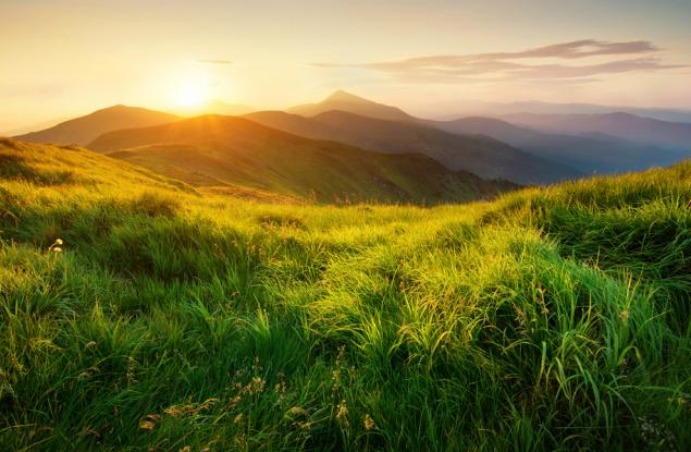 Виц: Тъща към зетя - "Искам да ме кремирате"