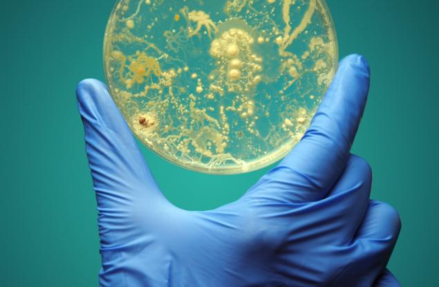 Откриха над 12 000 нови вида микроби