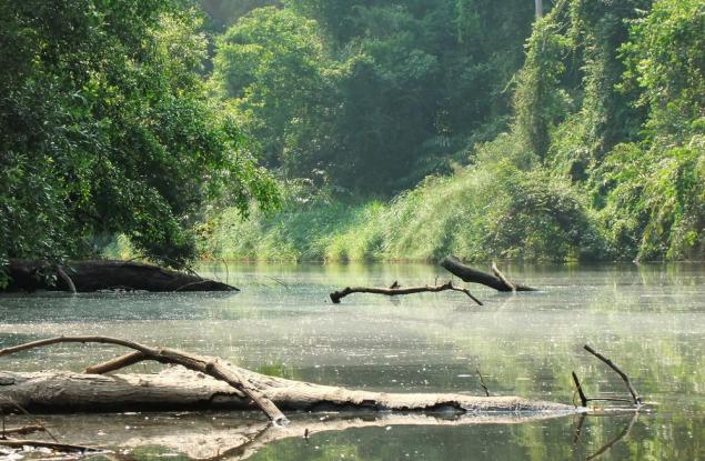Тропическите водоеми отделят по-малко парникови газове от очакваното