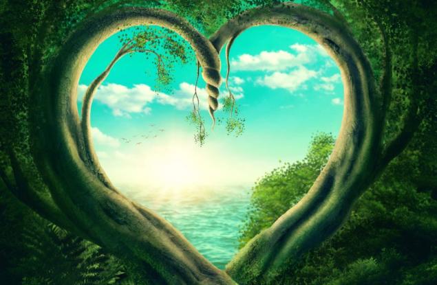 За другата гледна точка