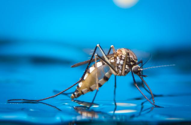 Повече от половината население на света може да бъде изложено на риск от болести, пренасяни от комари