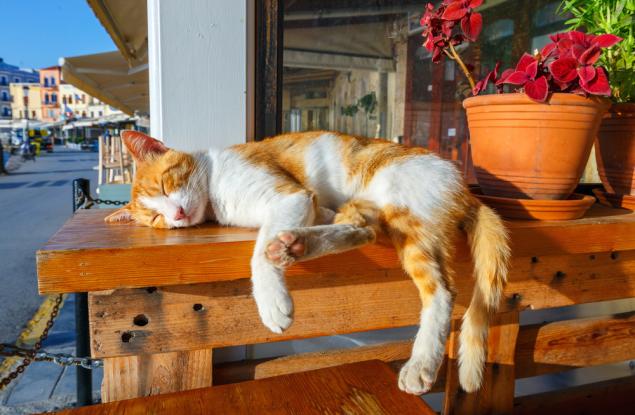 Шведски учен: Горещите климатични вълни ще стават все по-чести