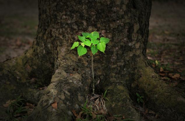 Колкото повече остаряваме, толкова повече разбираме
