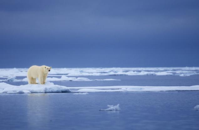 За първи път: Ледът в сибирския арктически регион не успя да замръзне до края на октомври