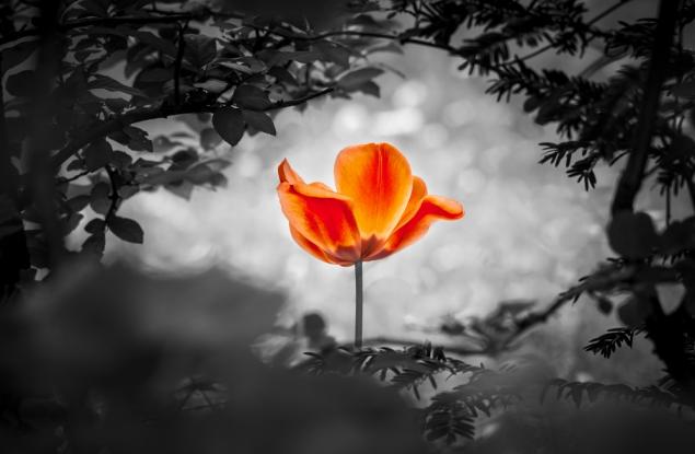 Хипократ за болестите на душата