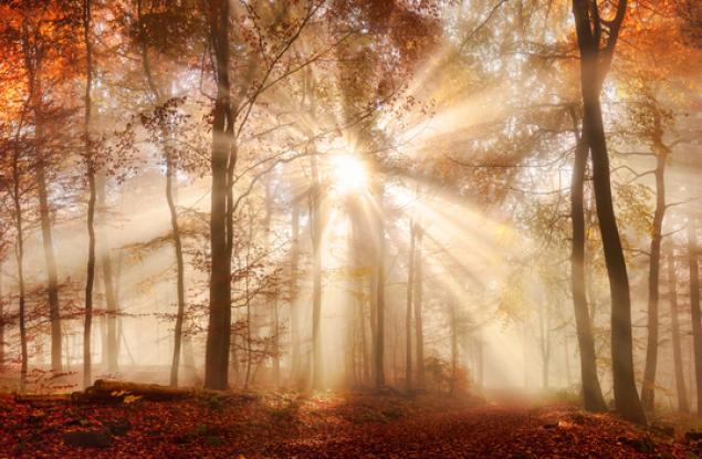 Има само един ден - днешният