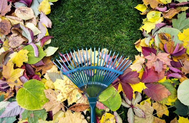 Виц: Какво е жизнен опит?