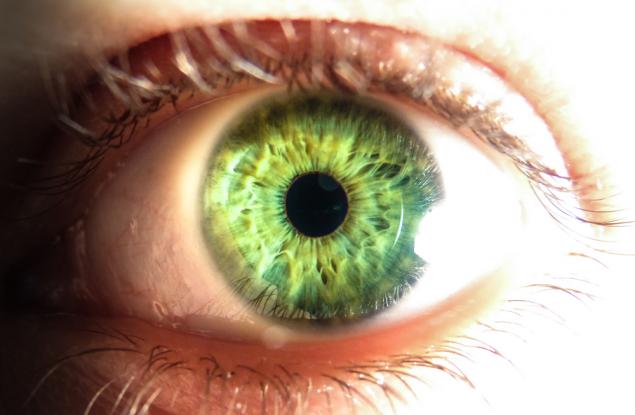 Никой не се ражда със зелени очи