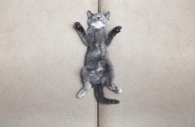 Ползите от добрия сън