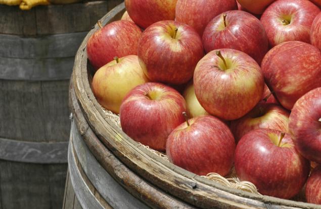 Когато някой те вбеси, прочети този текст