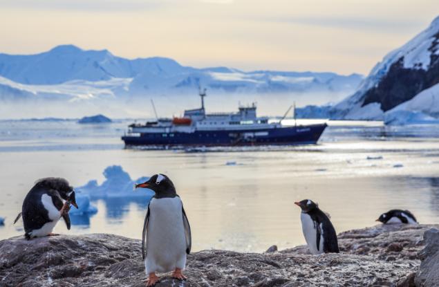 Снегът на Антарктика почернява заради сажди от туристическите кораби