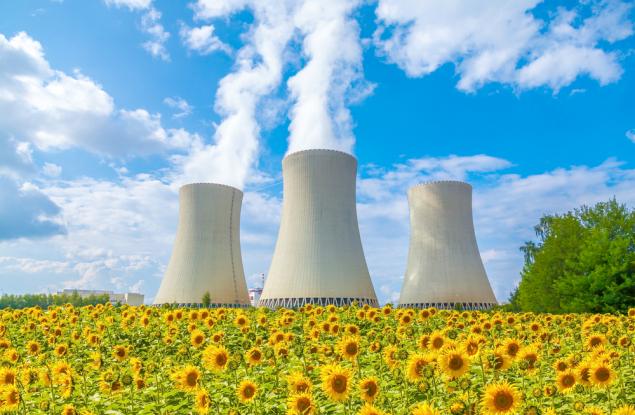 Защо учените засаждат слънчогледи след ядрени бедствия