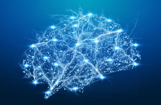 Мозъчни клетки, имплантирани в плъхове, помагат за психиатрични изследвания