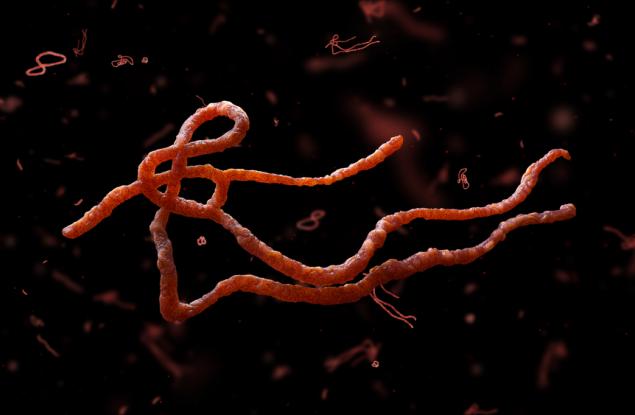 Паразитните червеи забавят човешкия прогрес. Ето как да ги спрем