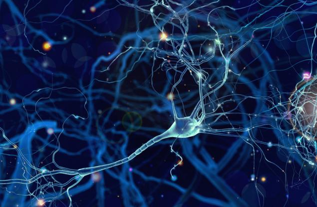 Изследователи обучиха изолирани мозъчни клетки да играят видеоигра