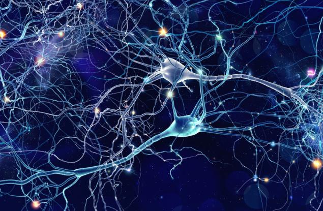 Невероятно видео показва за първи път как мозък унищожава мъртви неврони