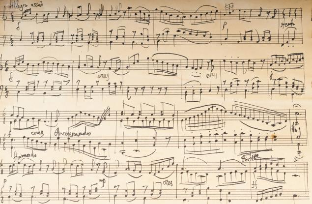 Вера Назарян за музиката