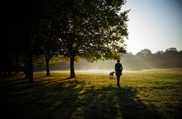 Разходките по над 100 минути на ден намаляват риска от хронична болка в кръста с 23%