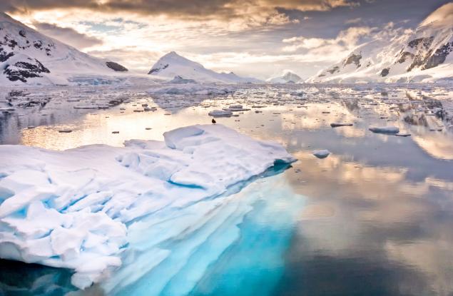 Невидимият живот, скрит под ледовете на Антарктида