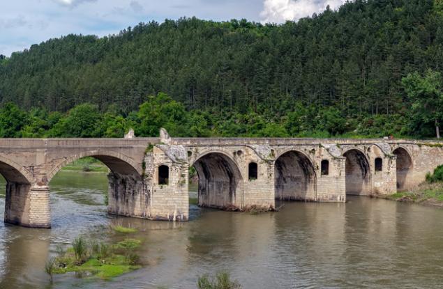 Дърво без корен плод не дава…