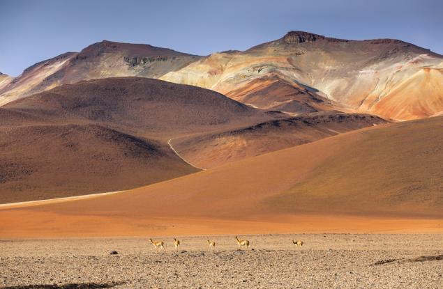 Научни открития поставиха рекорди през 2023 г.