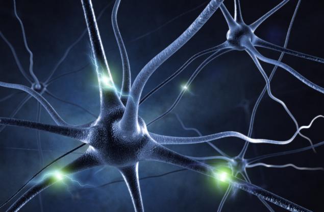 Учени разработиха успешен тест, който отчита първите сигнали на болестта на двигателния неврон 