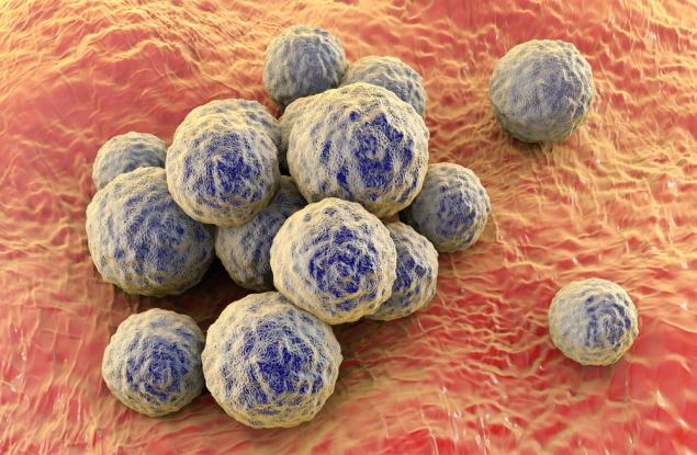 Учени откриха съединение, което унищожава супербактерията златист стафилокок