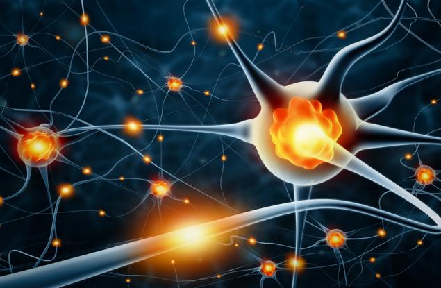 Възможно ли е фруктозата да е един от двигателите на болестта на Алцхаймер?