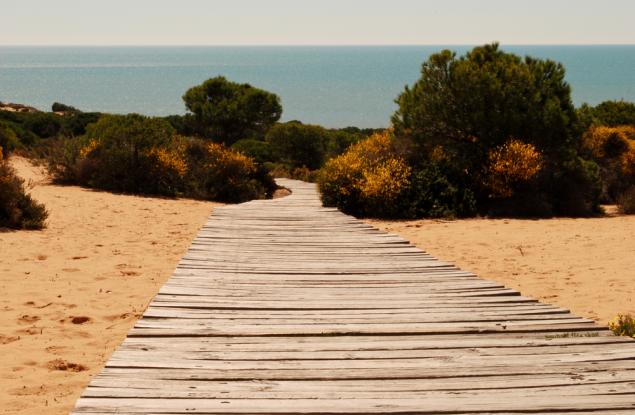 Испанският национален парк Доняна се превръща в пустиня