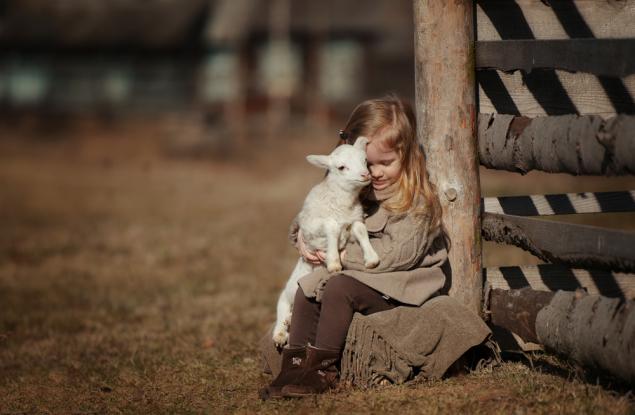 За да се почувствате богати, пребройте си нещата, които не могат да се закупят с пари
