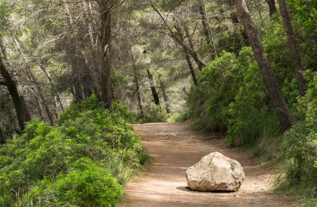 Всяко препятствие ни предоставя възможност да подобрим своето състояние