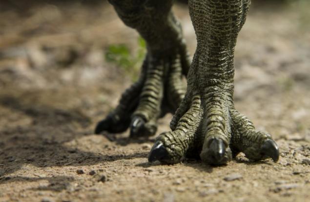 Експерти смятат, че са открили стъпки на динозавър на 200 млн. години