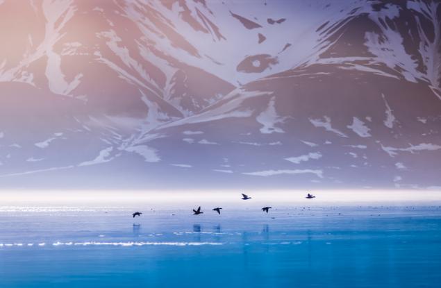 На Свалбард, арктическия архипелаг на Норвегия, бе регистриран нов температурен рекорд