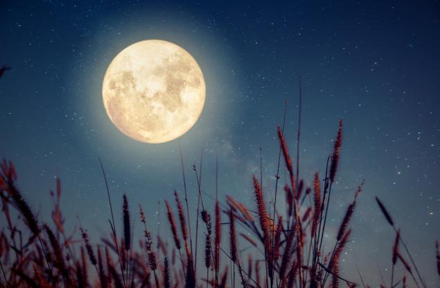 Тази седмица ще наблюдаваме "Урожайна" Луна