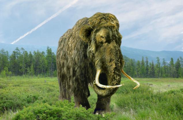Генетици планират да възродят чрез клониране вълнестия мамут, птицата додо и тасманийския вълк до 2028 г.