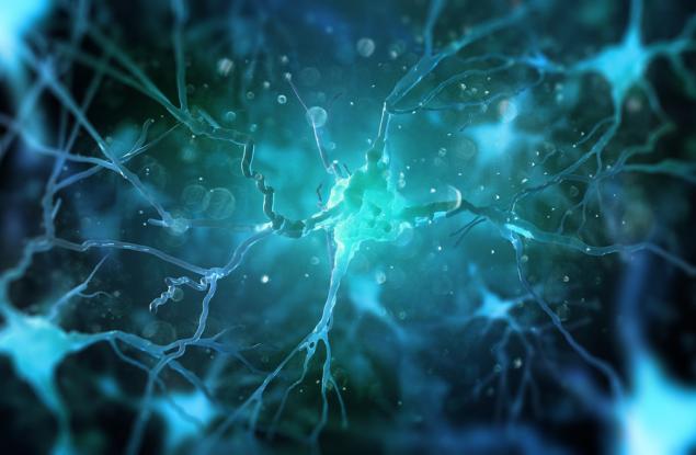 Как мозъчните увреждания могат да разкрият връзките между церебралната тъкан и разума