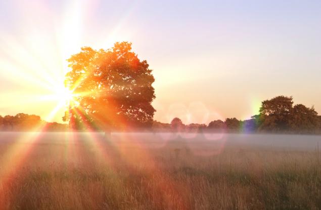 Декември 2021 г. – отново с над половин градусова положителна аномалия