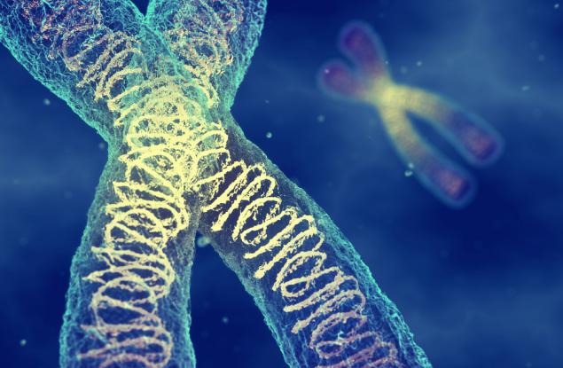 Странната история на "половите хромозоми"