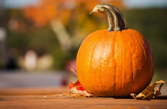 Поучителна история за тиквата и дъба