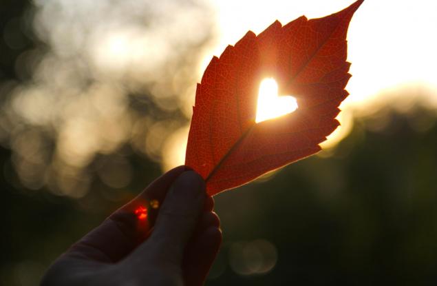 Най-влюбчивите зодии 