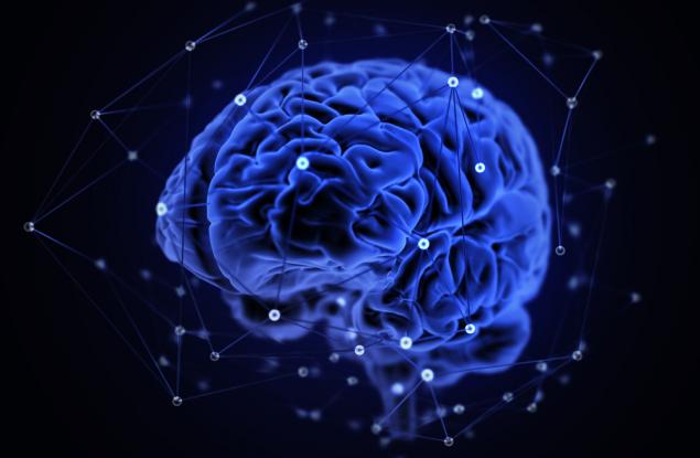  Холографски микроскоп създава детайлни изображения на мозъка