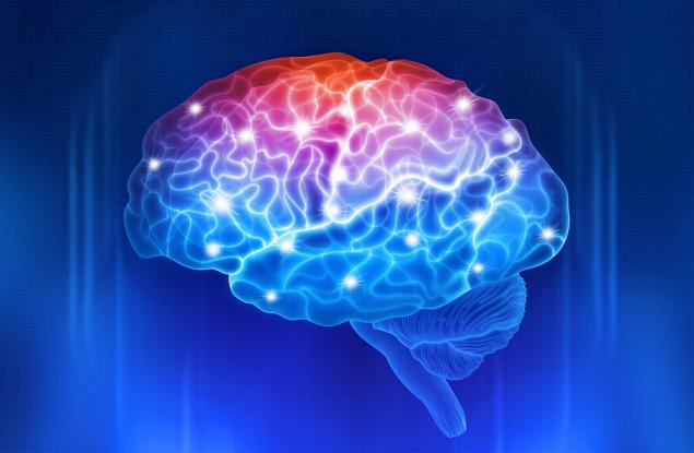 Как мозъкът се учи да вижда