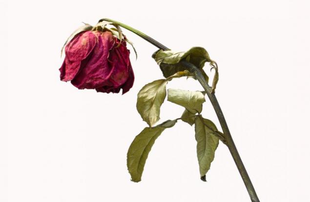 Ето кои храни ни състаряват