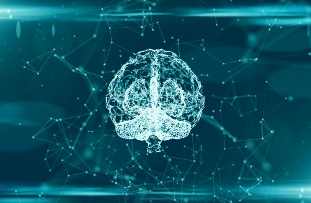 Истинската причина мозъците да съществуват