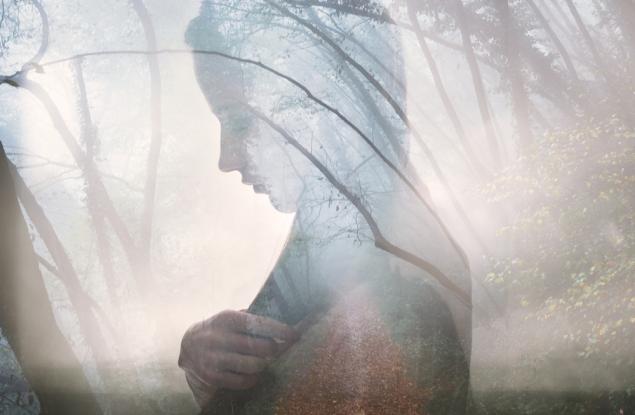 Дамян Дамянов: Да беше камък, но ти търпиш, защото си сърце